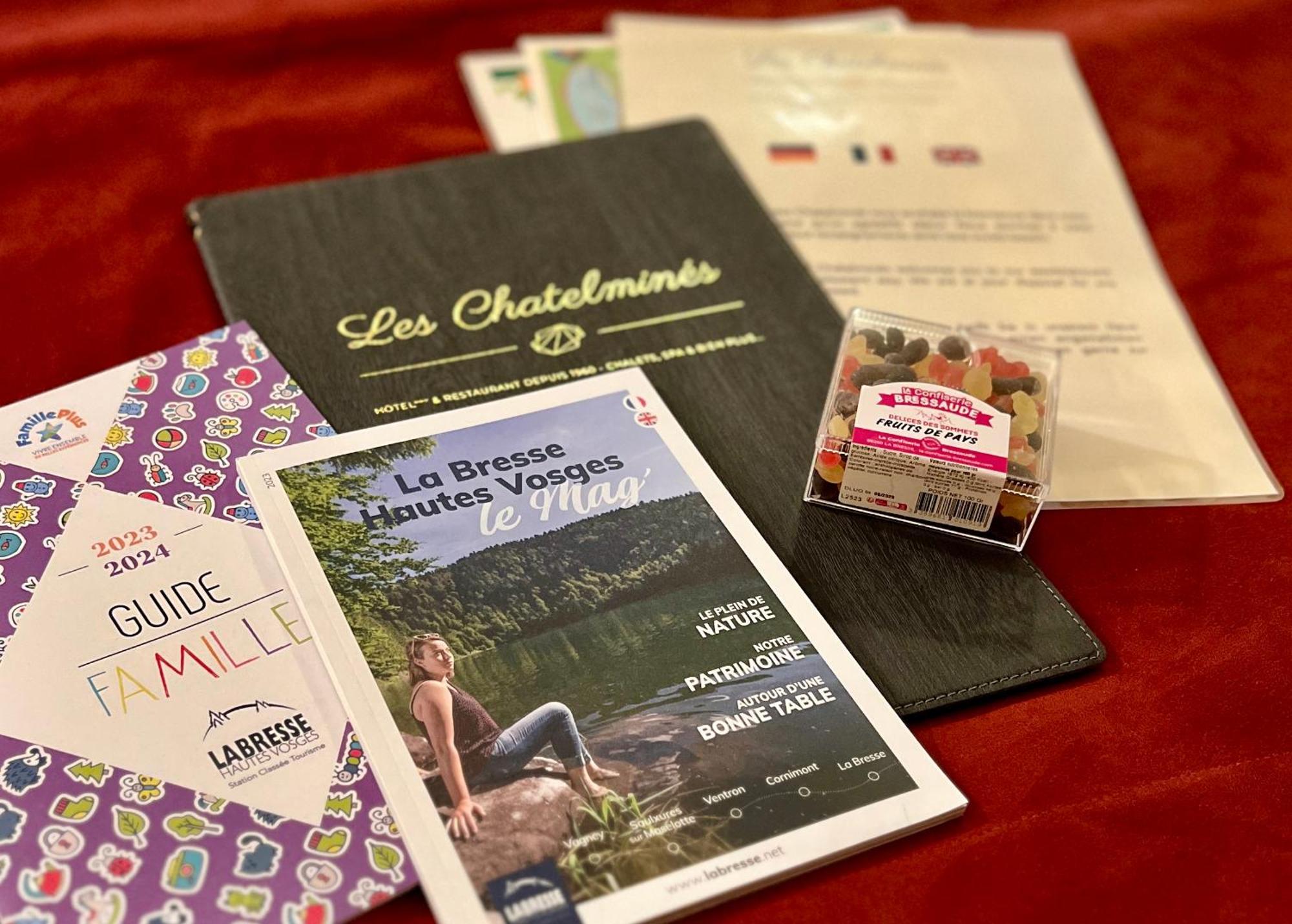 Logis Hotel, Chalets Et Restaurant Les Chatelmines La Bresse Dış mekan fotoğraf