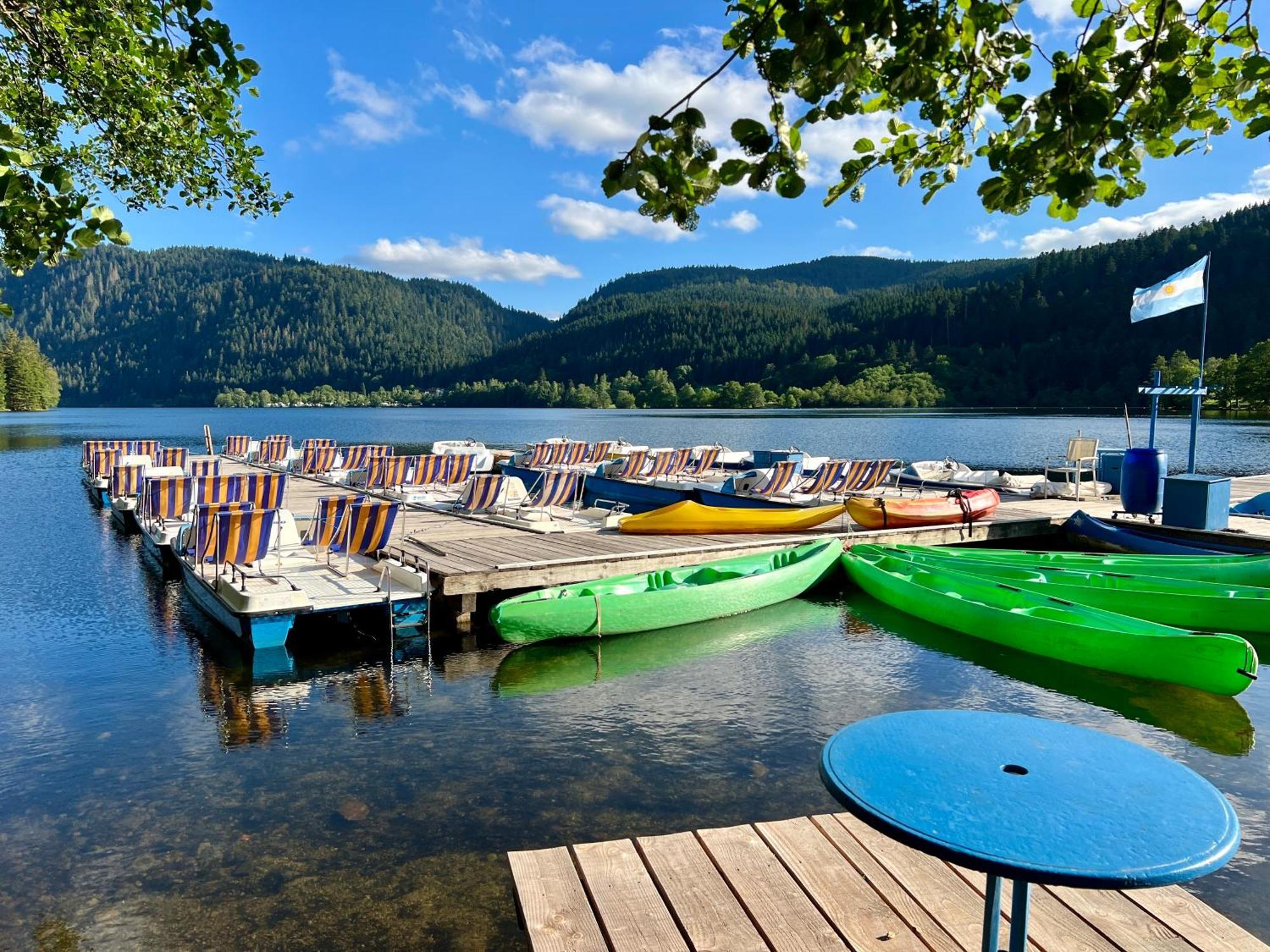 Logis Hotel, Chalets Et Restaurant Les Chatelmines La Bresse Dış mekan fotoğraf
