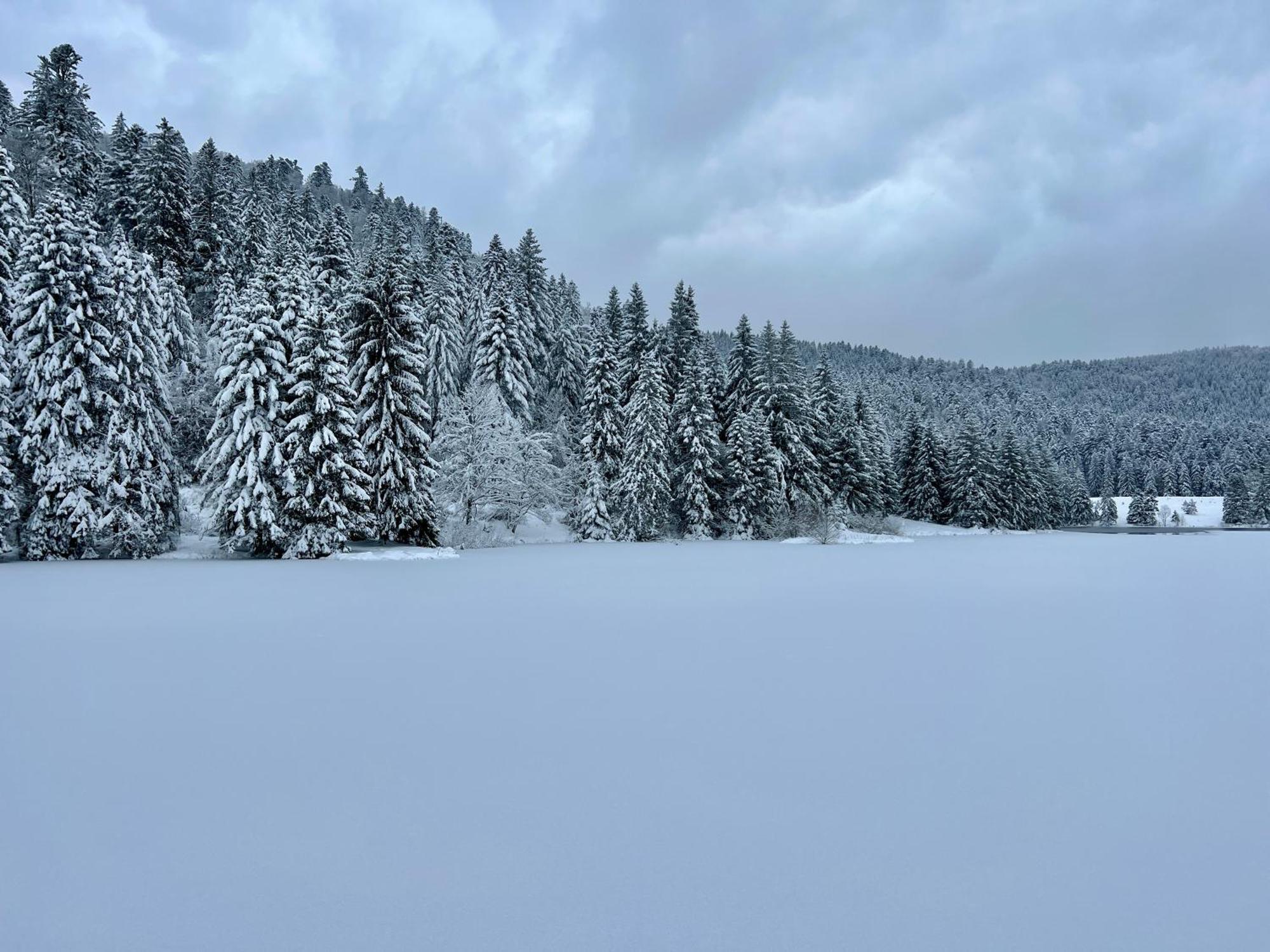 Logis Hotel, Chalets Et Restaurant Les Chatelmines La Bresse Dış mekan fotoğraf