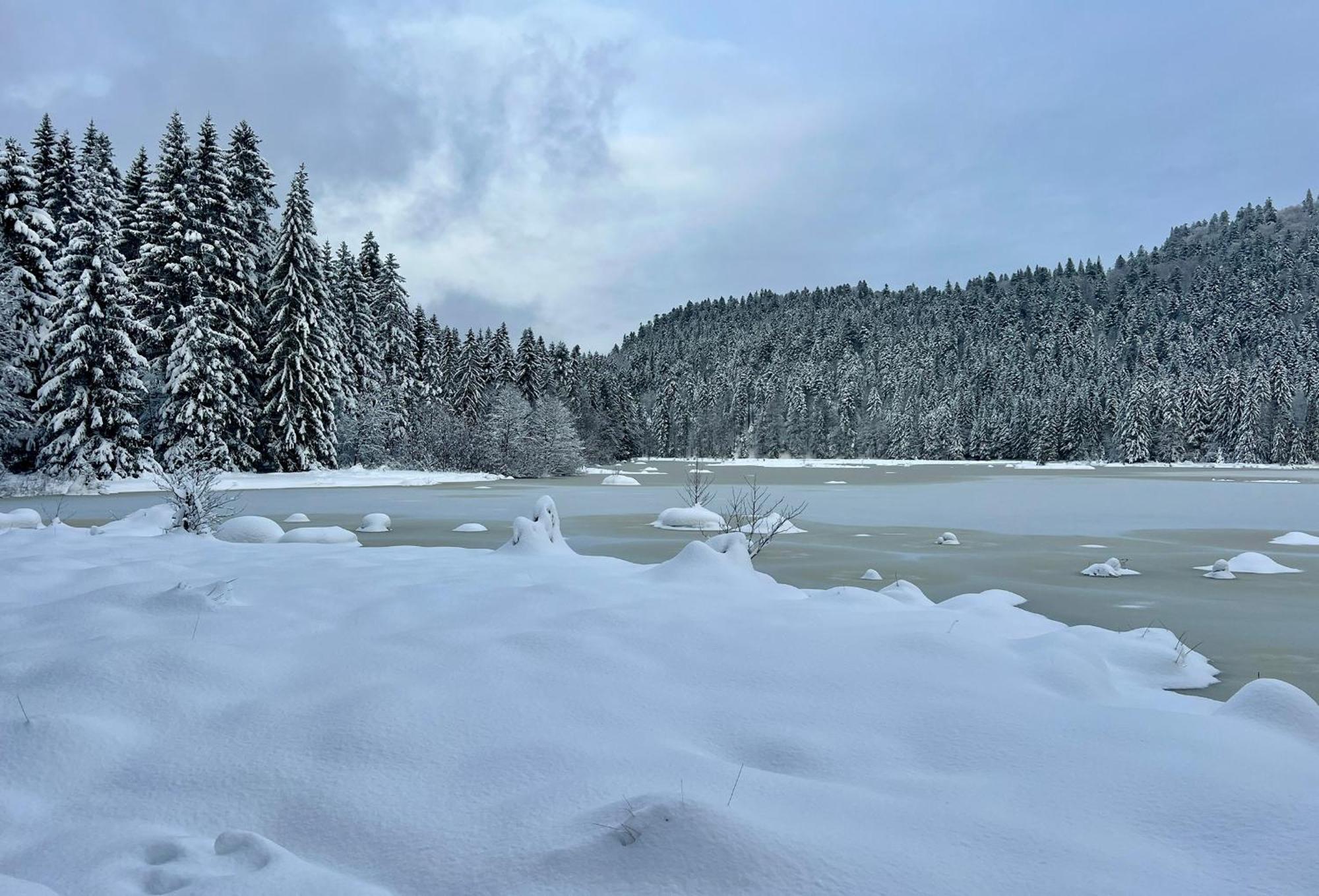 Logis Hotel, Chalets Et Restaurant Les Chatelmines La Bresse Dış mekan fotoğraf
