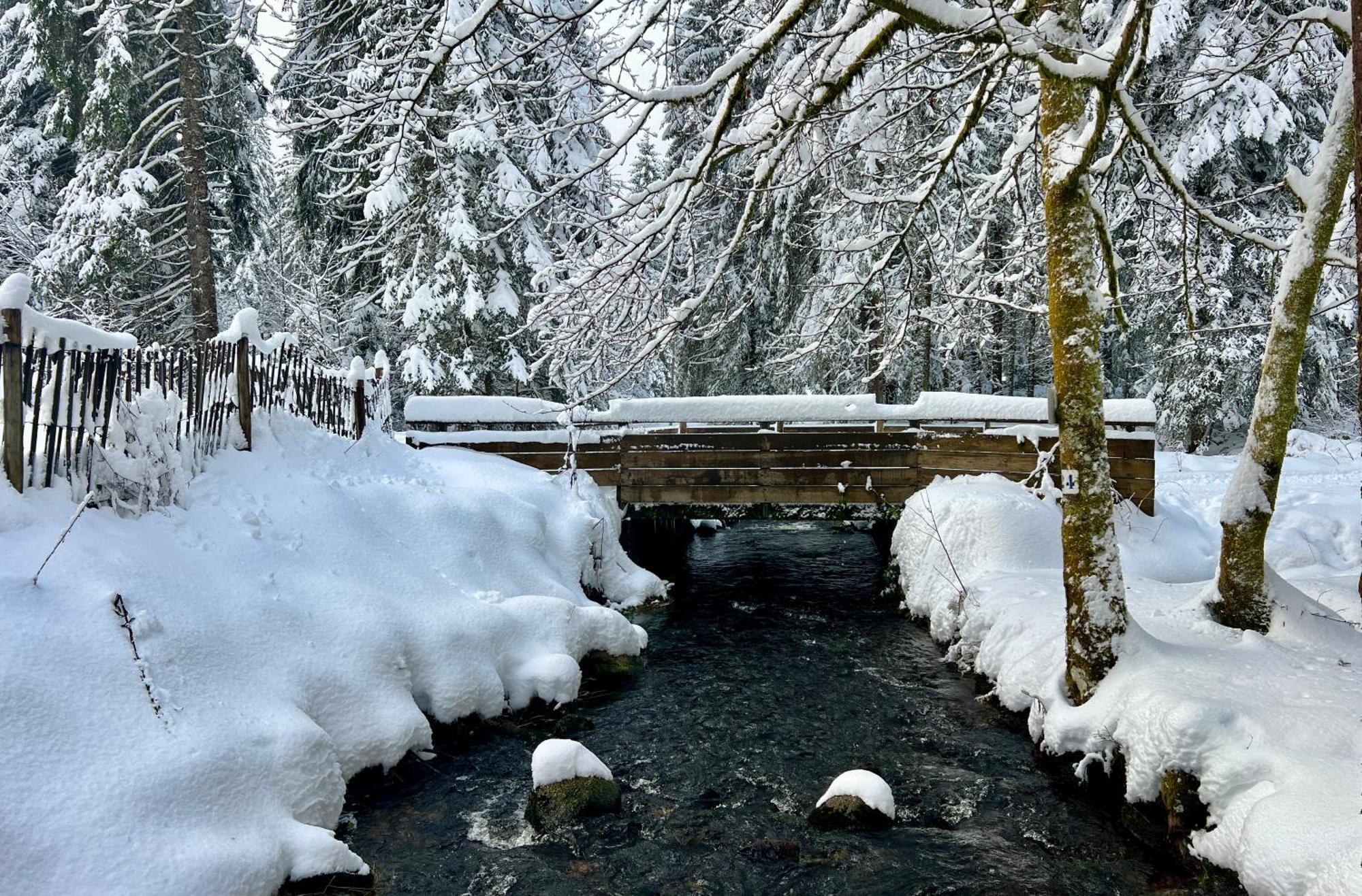 Logis Hotel, Chalets Et Restaurant Les Chatelmines La Bresse Dış mekan fotoğraf